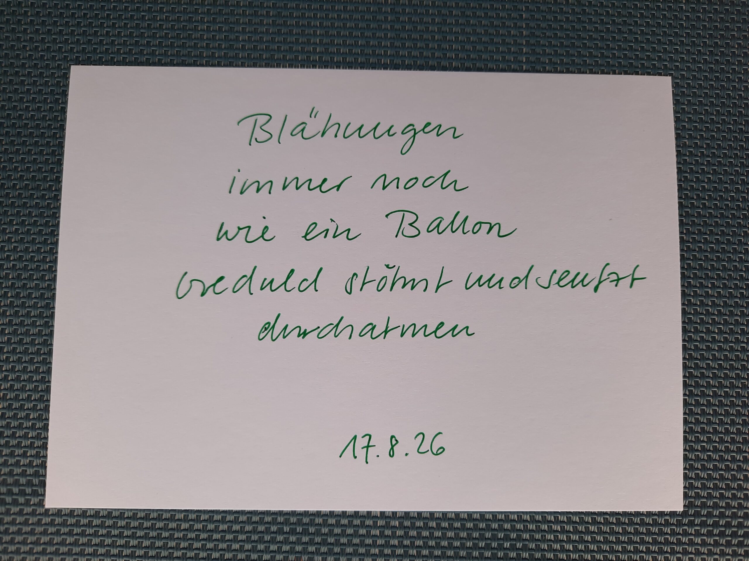 17.08.26_Elfchen_by Claudia Müller
